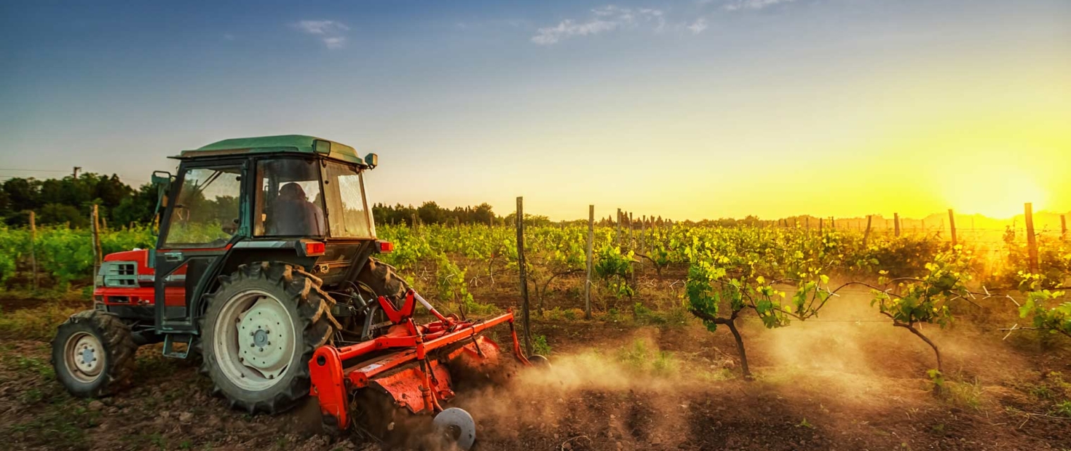 MALATTIE PROFESSIONALI E PRENVENZIONE NEL SETTORE AGRICOLO